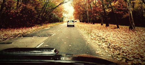 Klaar voor de herfst? Zo gaat u veilig de weg op