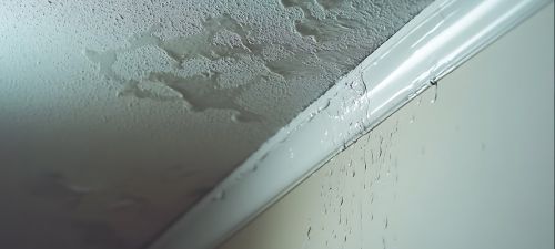 Welke waterschades vergoedt de verzekering